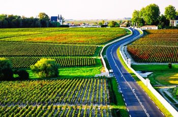 Lembranças de Bordeaux e memórias da família Guignard, de Graves, que produz vinhos há mais de 400 anos